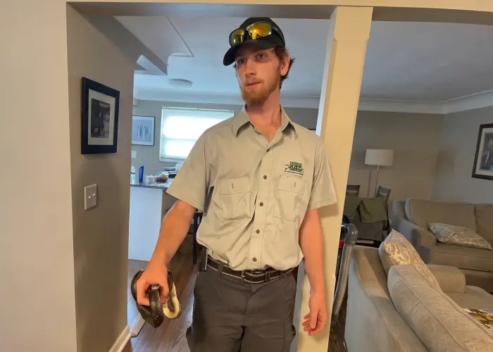 Animal Remover provides professional wildlife removal and control services near Cincinnati, OH